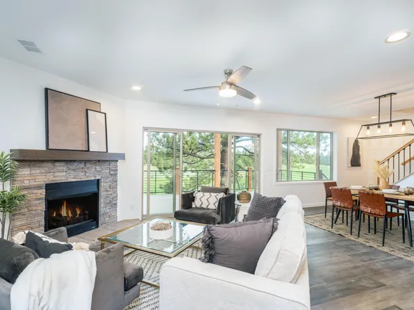 41 Coyote Ct, Ridgway, CO 81432