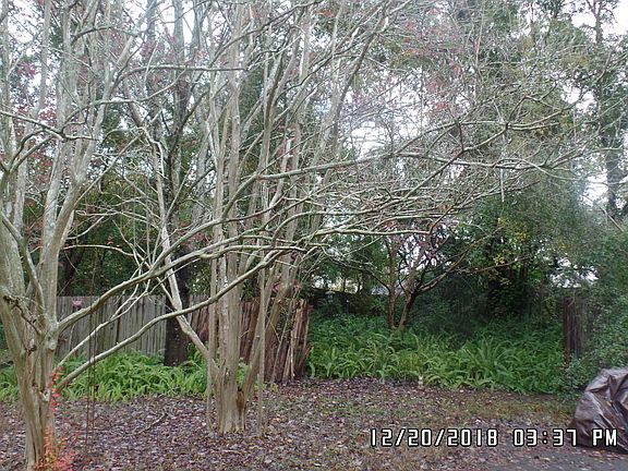 3rd image of 2741 Cavender Ct