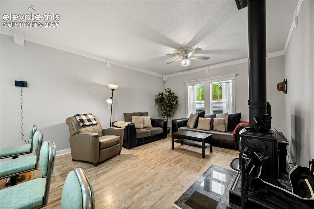 33 Maid Marian Dr, Divide, CO - More