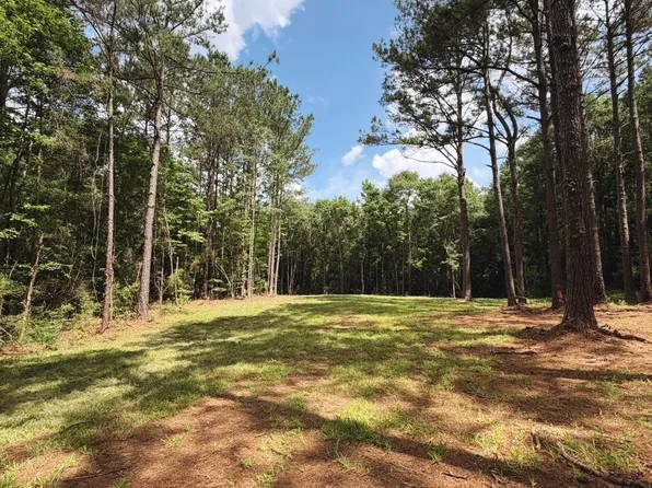 0 County Road 245 Rd, Elba, AL 36323