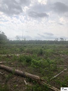 0 Columbia County Rd, Emerson, AR, 71740