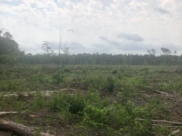 0 Columbia County Rd, Emerson, AR 71740