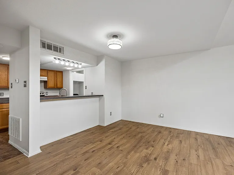 4619 Country Creek Dr #1036 — Photo 2