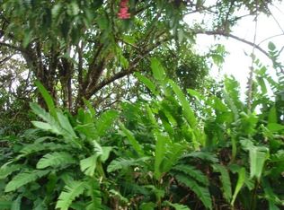 N Kulani Rd, Mountain View, HI 96771