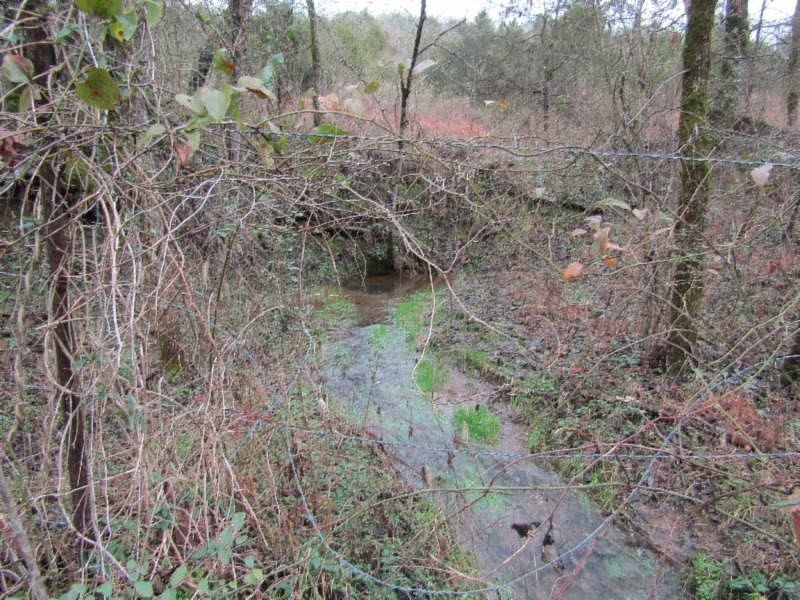 1st image of 0 Brooks Bend Ln