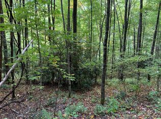 Mount Tabor Rd, Topton, NC 28781