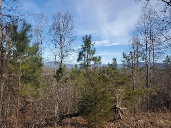 25 Meadow Brooke Ln, Young Harris, GA 30582