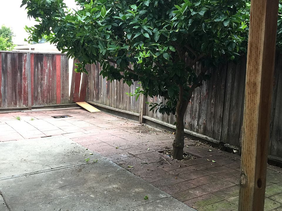 1st image of 33621 14th St