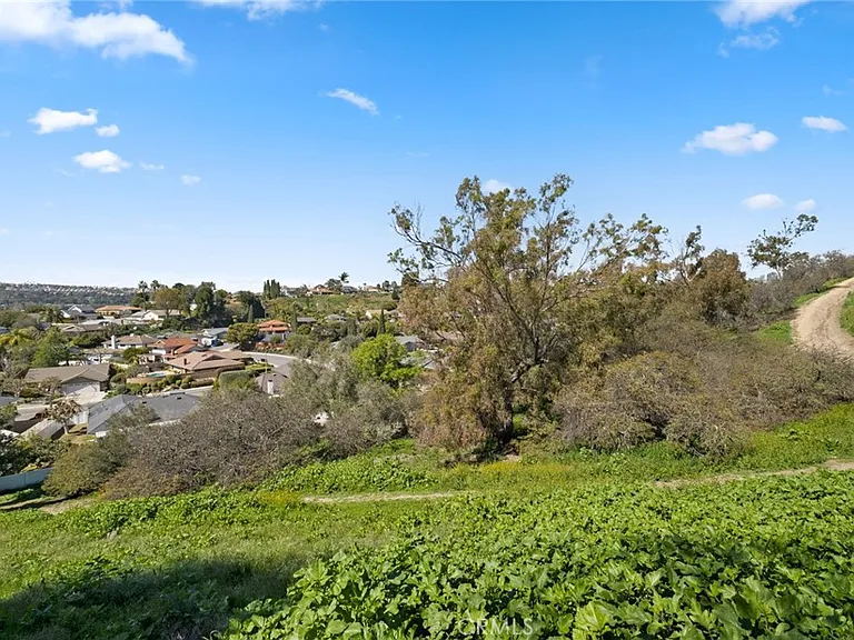 24291 Los Serranos Dr — Photo 23