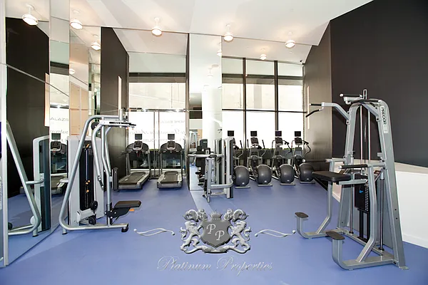 Rented by Platinum Properties | media 93