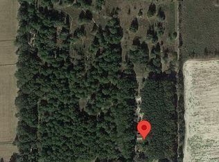 28005 NW 46th Ave, Newberry, FL 32669