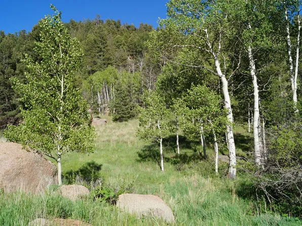 765 Pinon Ln, Florissant, CO 80816