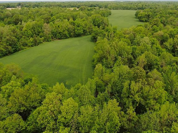 Field