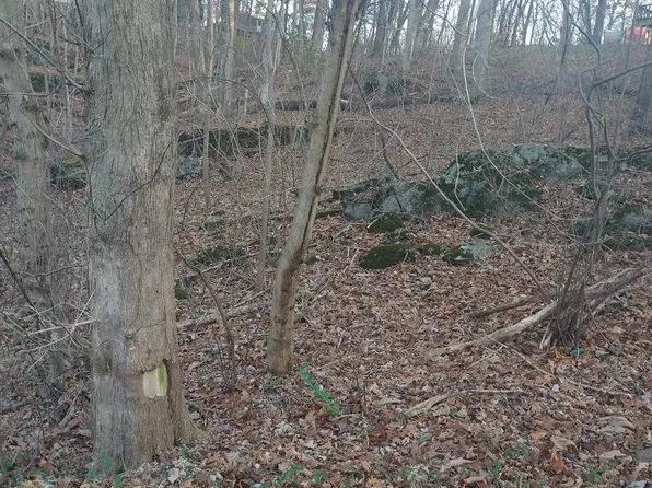 Pin Oak Rd, Front Royal, VA 22630