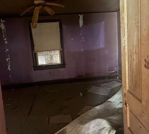 3rd image of 280 Petrea Rd