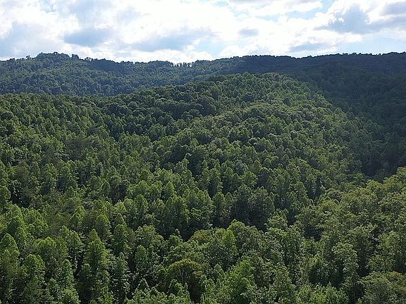 2nd image of Lick Creek Ln