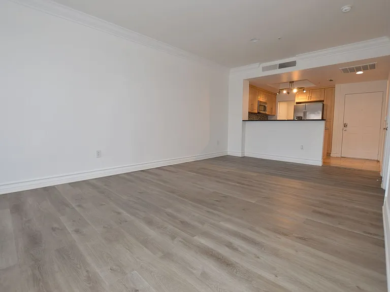 220 E Flamingo Rd #303 — Photo 3