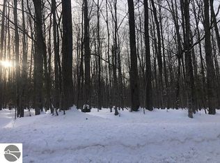 0 Oslund Rd, Bellaire, MI 49615