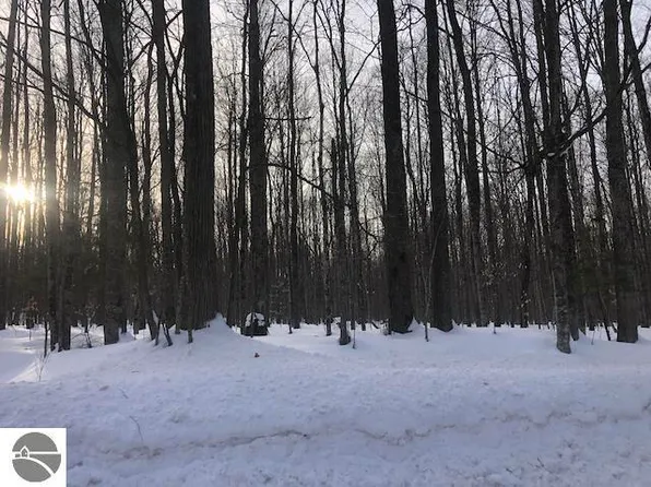 0 Oslund Rd, Bellaire, MI 49615