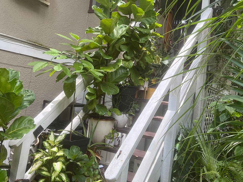 1st image of 723 E Concord St #4