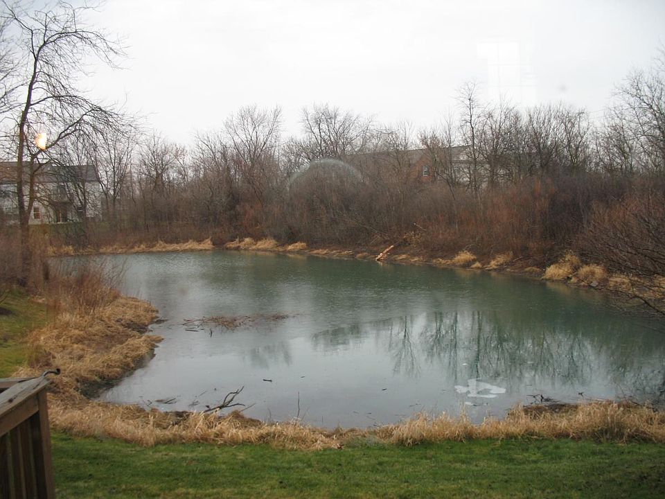 Backyard view with pond