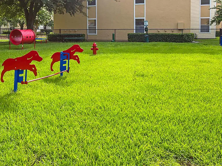 Leash-Free Bark Park