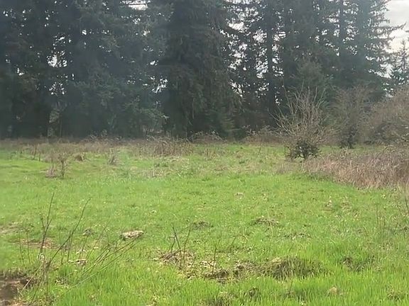 3rd image of S Ferguson Rd