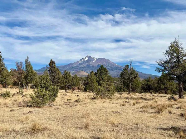Unit 1 Brook Ln Lot 56, Weed, CA 96094