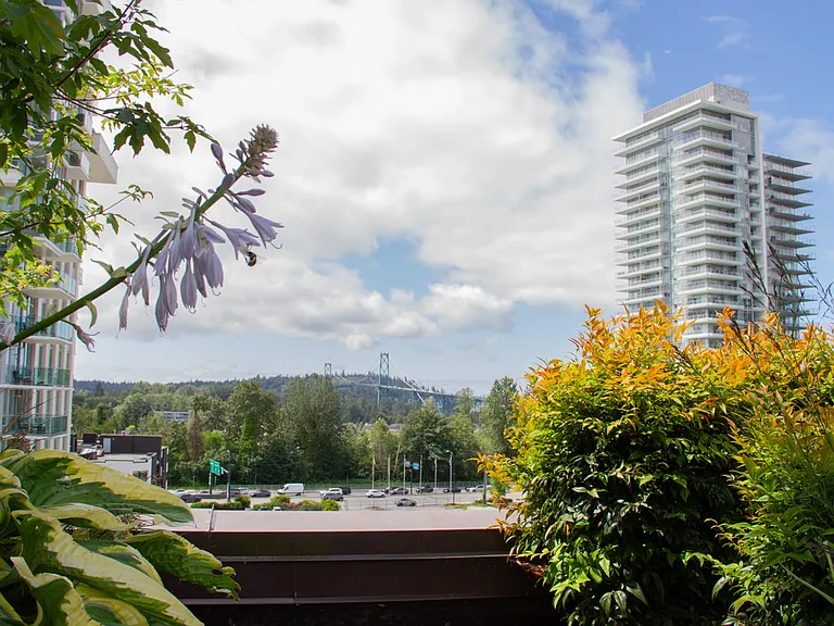 1711 Lions Gate Ln — Photo 37