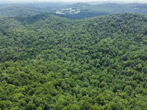 Dreamrider Dr, Melbourne, AR 72556