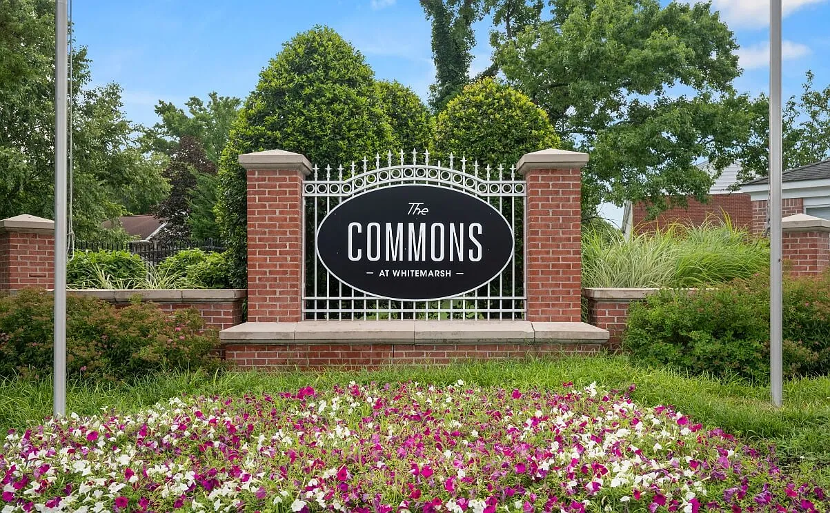 Commons at Whitemarsh — Photo 2