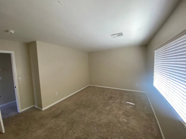269 Bent Sunflower Ct — Photo 14