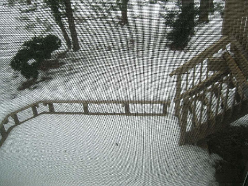 1st image of 11585 Red Leaf Ct