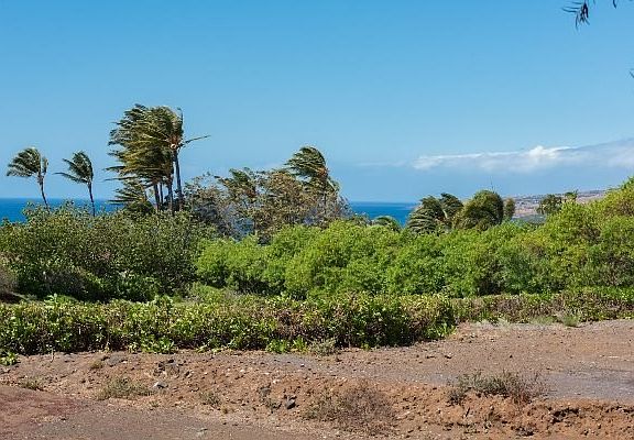 3rd image of 62-3464 Hoolani Pl #A2