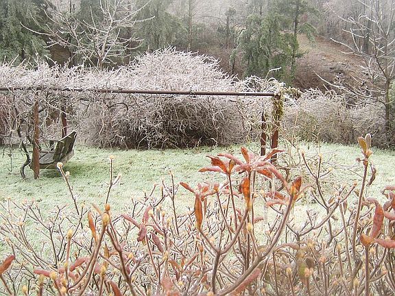 View from bathroom window