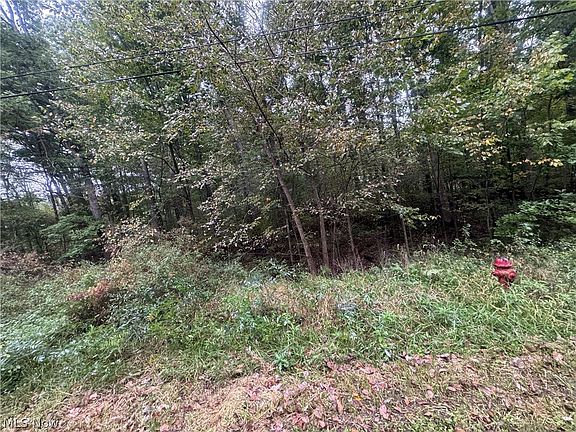 2nd image of 48250 Dyke Rd