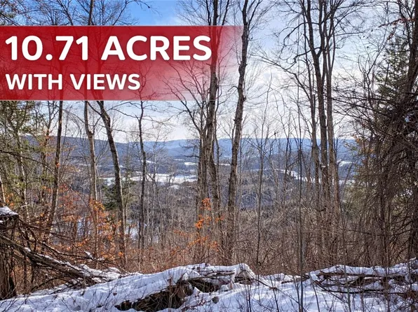 15 Silver Mine Rd, Summit, NY 12175