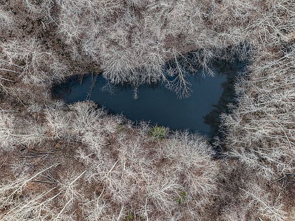 3rd image of 835 Mount Zion Rd