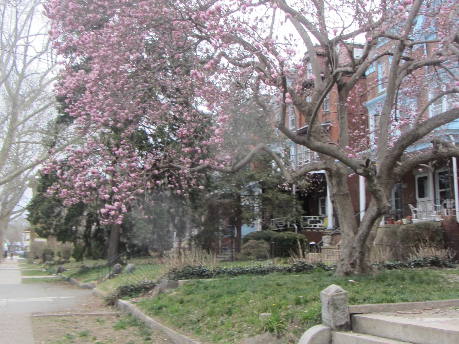 1 bed, 600 sqft, $1,295 — Photo 2