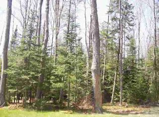 Xxx N Cut Rd, Roscommon, MI 48653