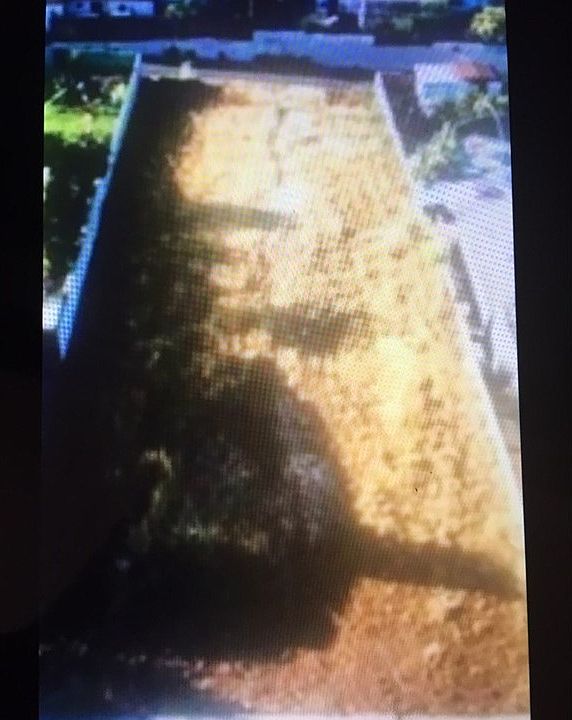 2nd image of 2521 Barry St