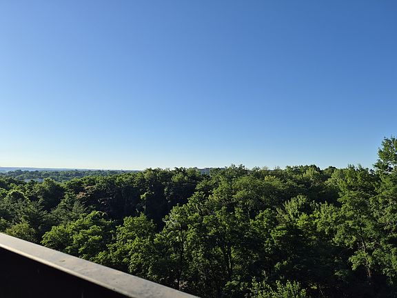 2nd image of 3705 S George Mason Dr APT 709S