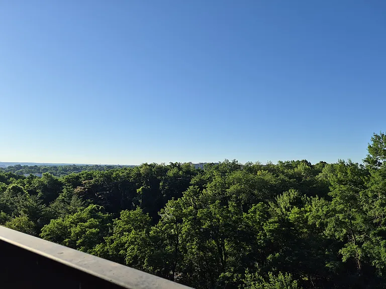 3705 S George Mason Dr #709S — Photo 2