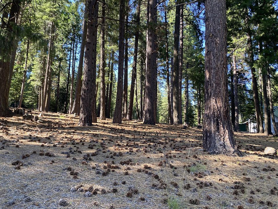 2nd image of 615 E Mountain Ridge Rd