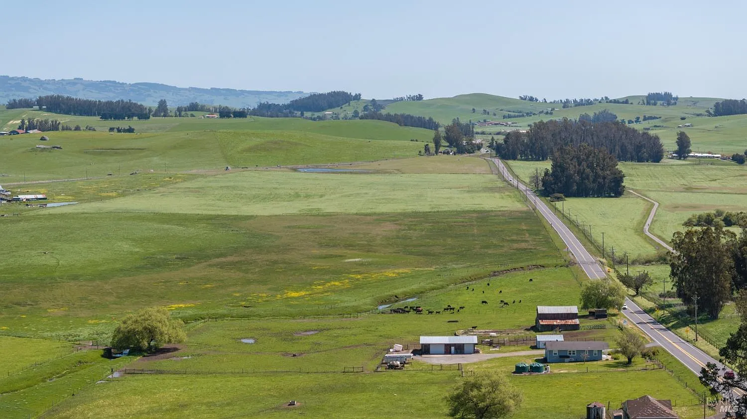 530 Tomales Road - Photo 9