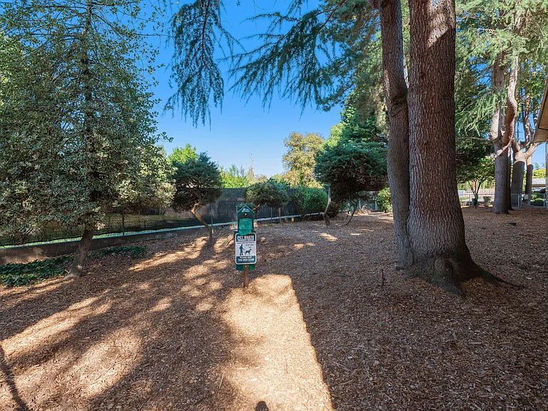 Park At Allen Apartments — Photo 28