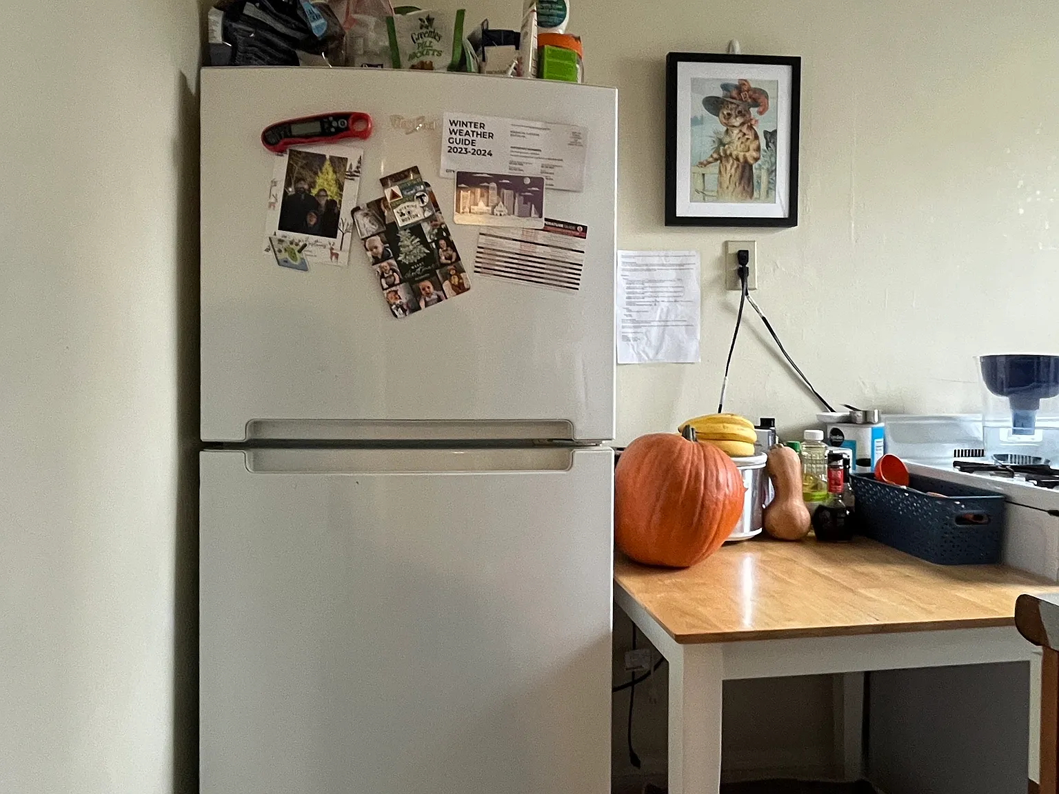 225 Kelton Street Residence — Photo 2