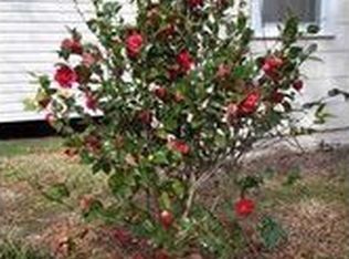 16207 W Hayes Rd, Kentwood, LA 70444