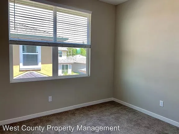 984 Brunello Dr — Photo 12