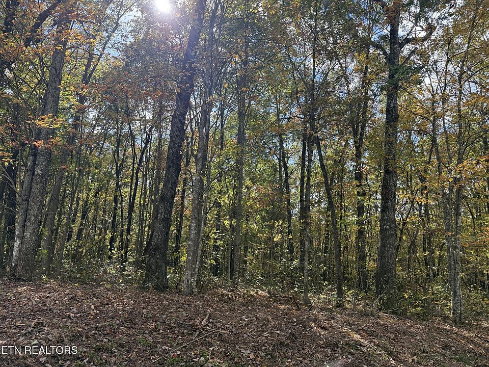2nd image of 0 Pickett Park Hwy